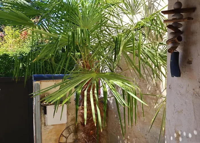 Maison T3 - 2 Lits Doubles *